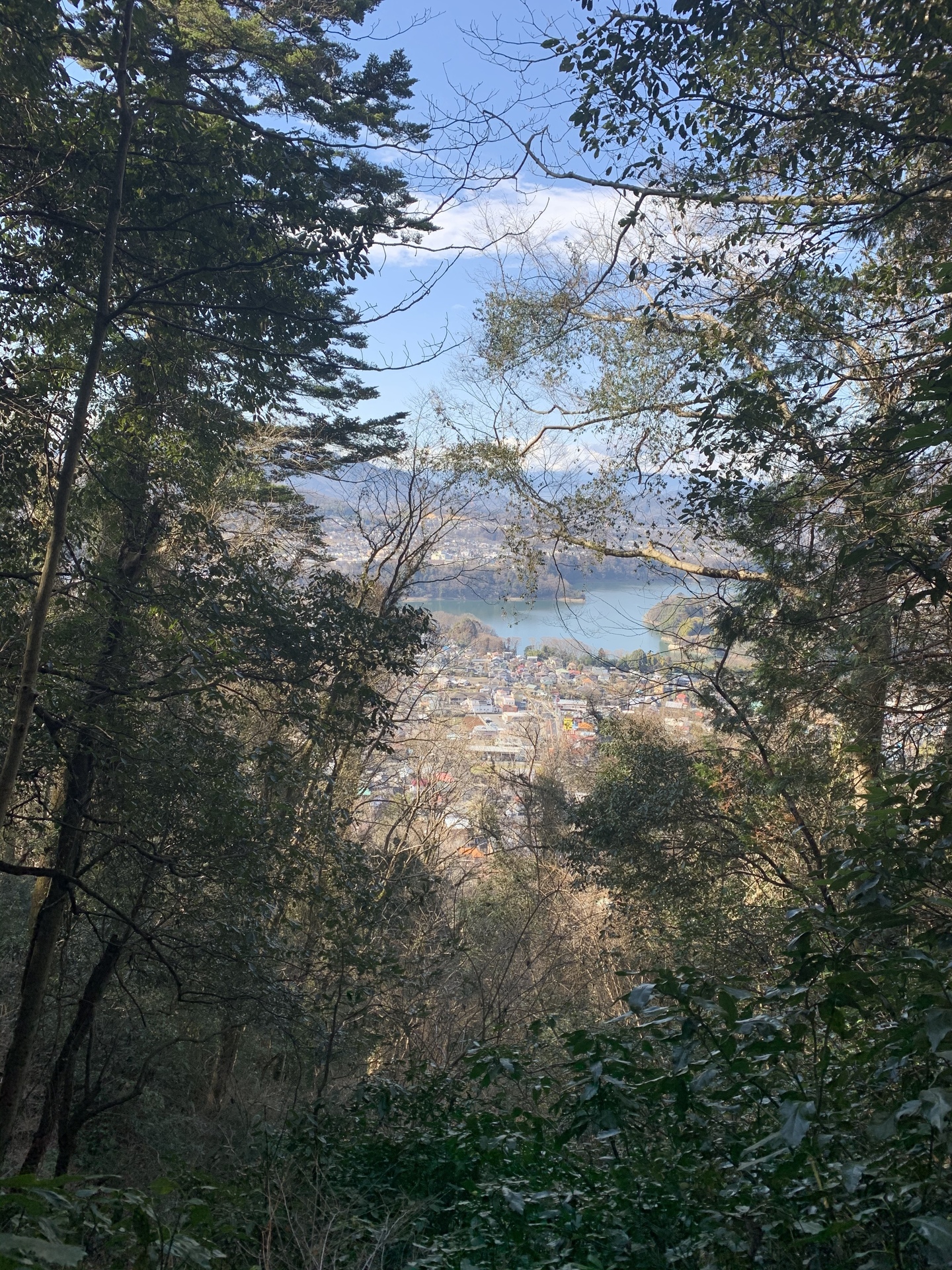 木道より・・・