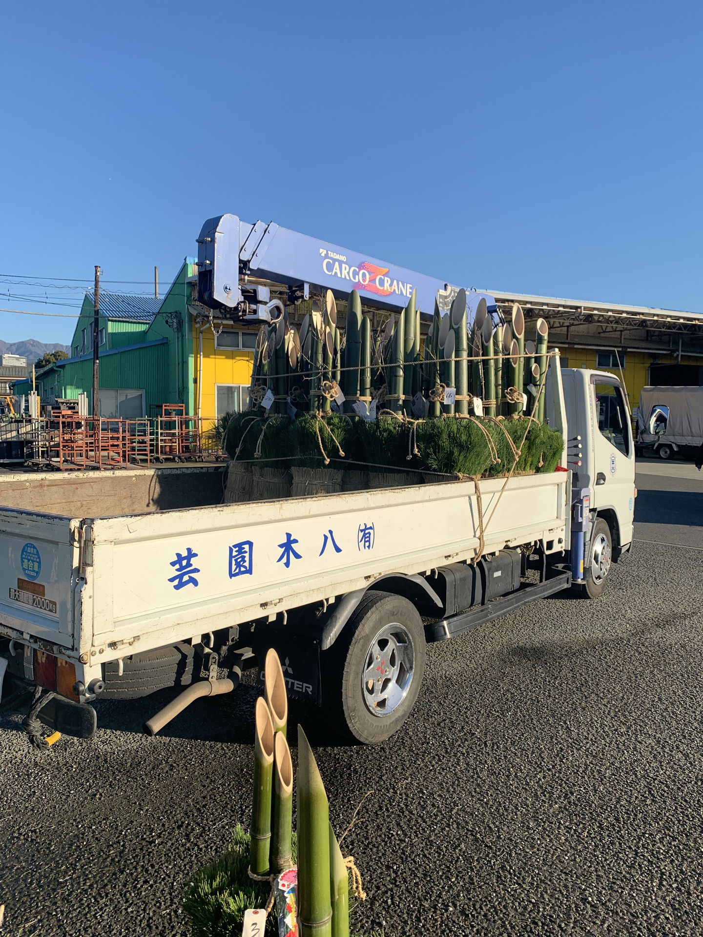 大量の門松。めで鯛⁉️