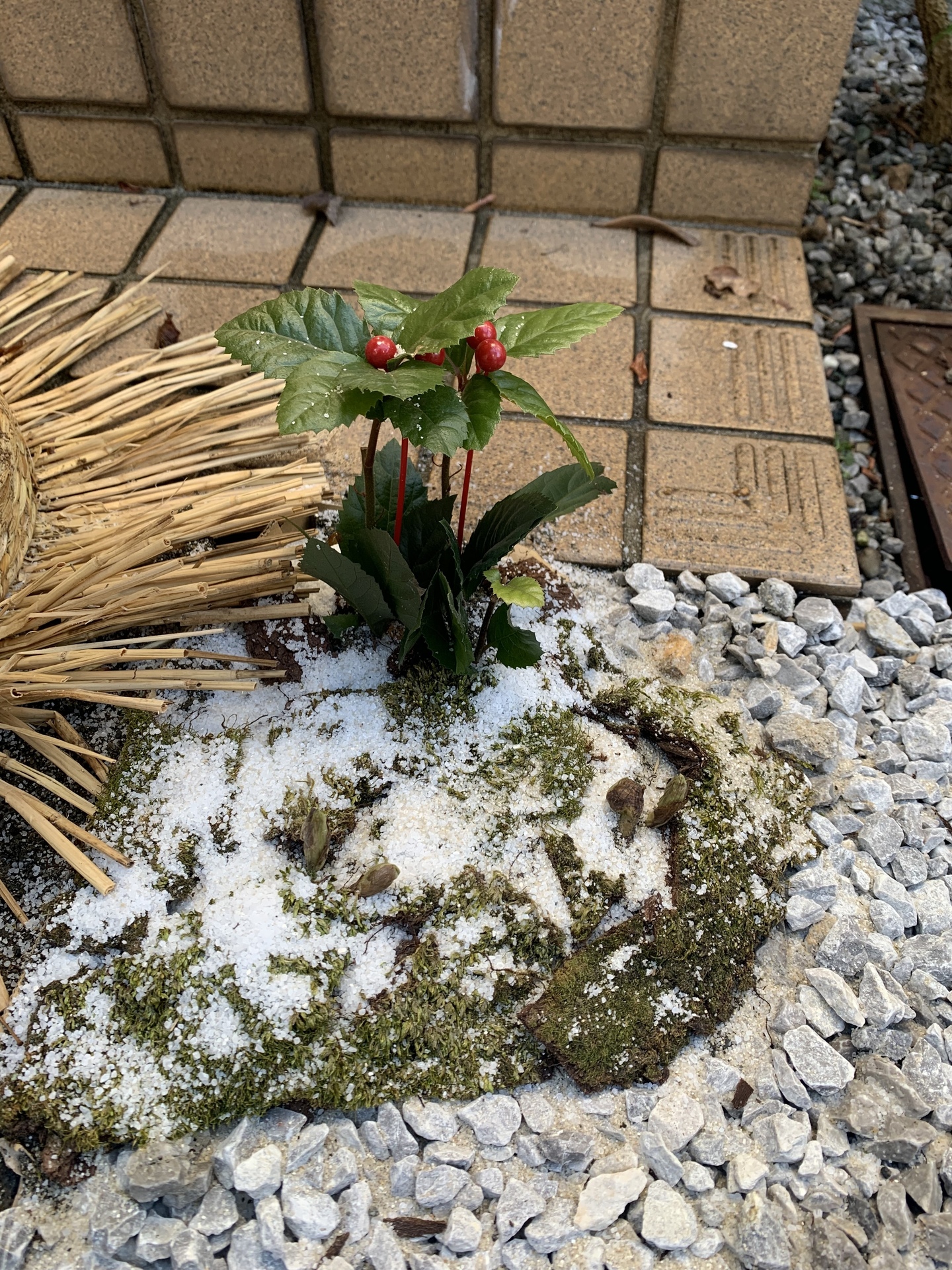 アレンジしました。