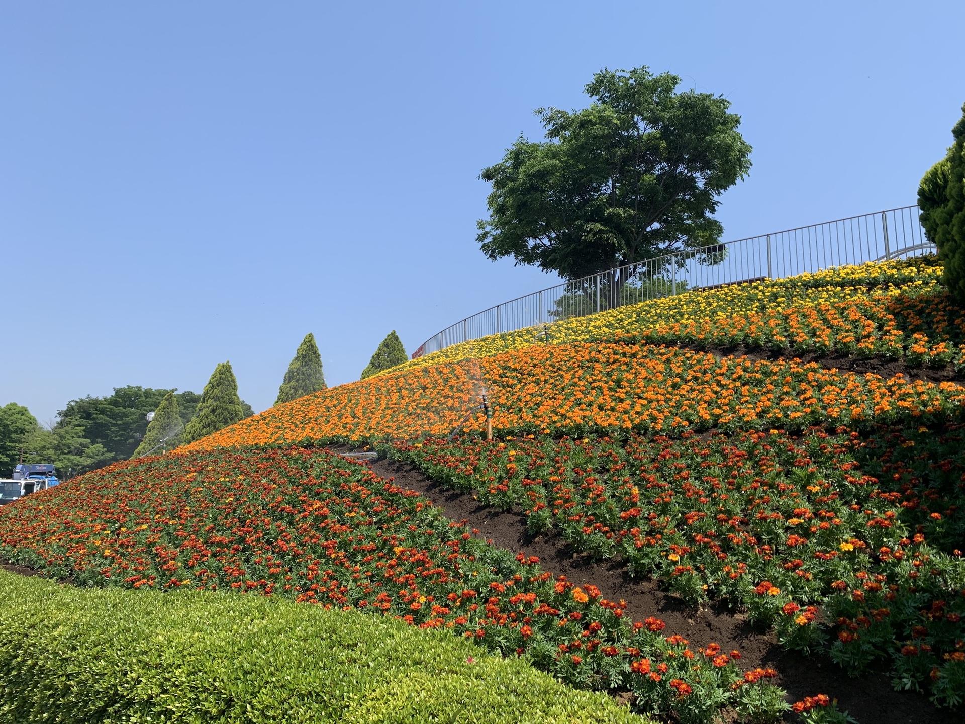 1回目の花壇（見にくいがスプリンクラーがあります。）