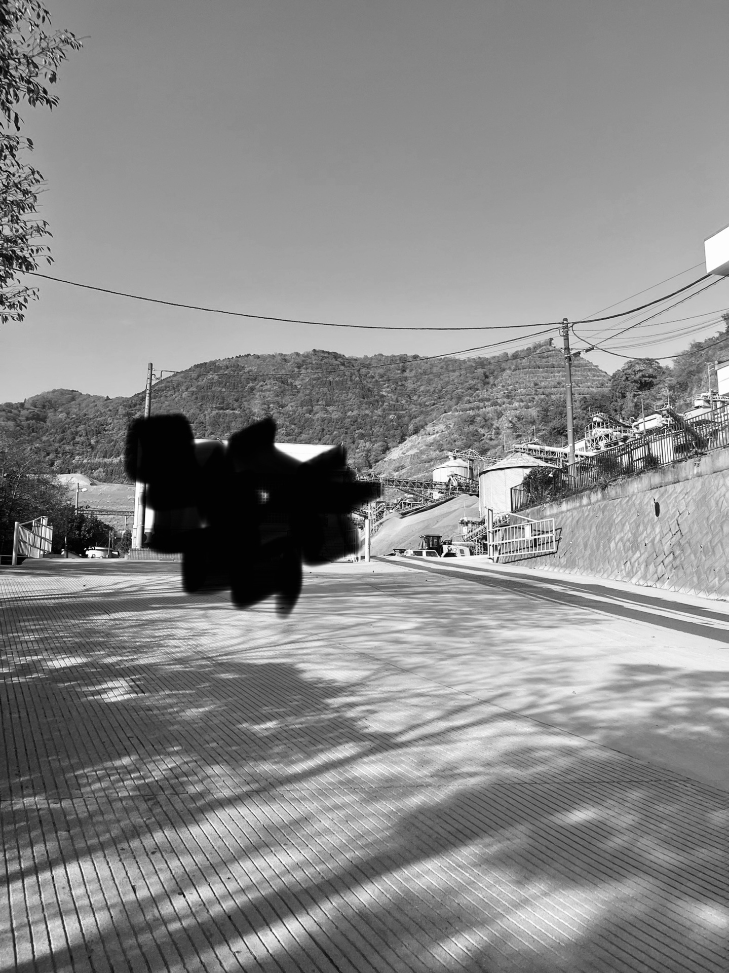 この山を行く！！