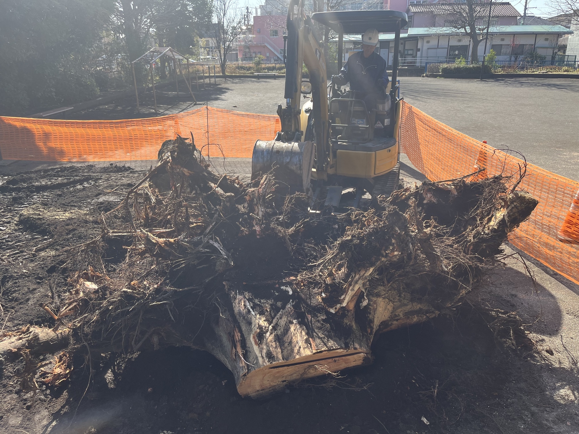 絡んだ土の除去