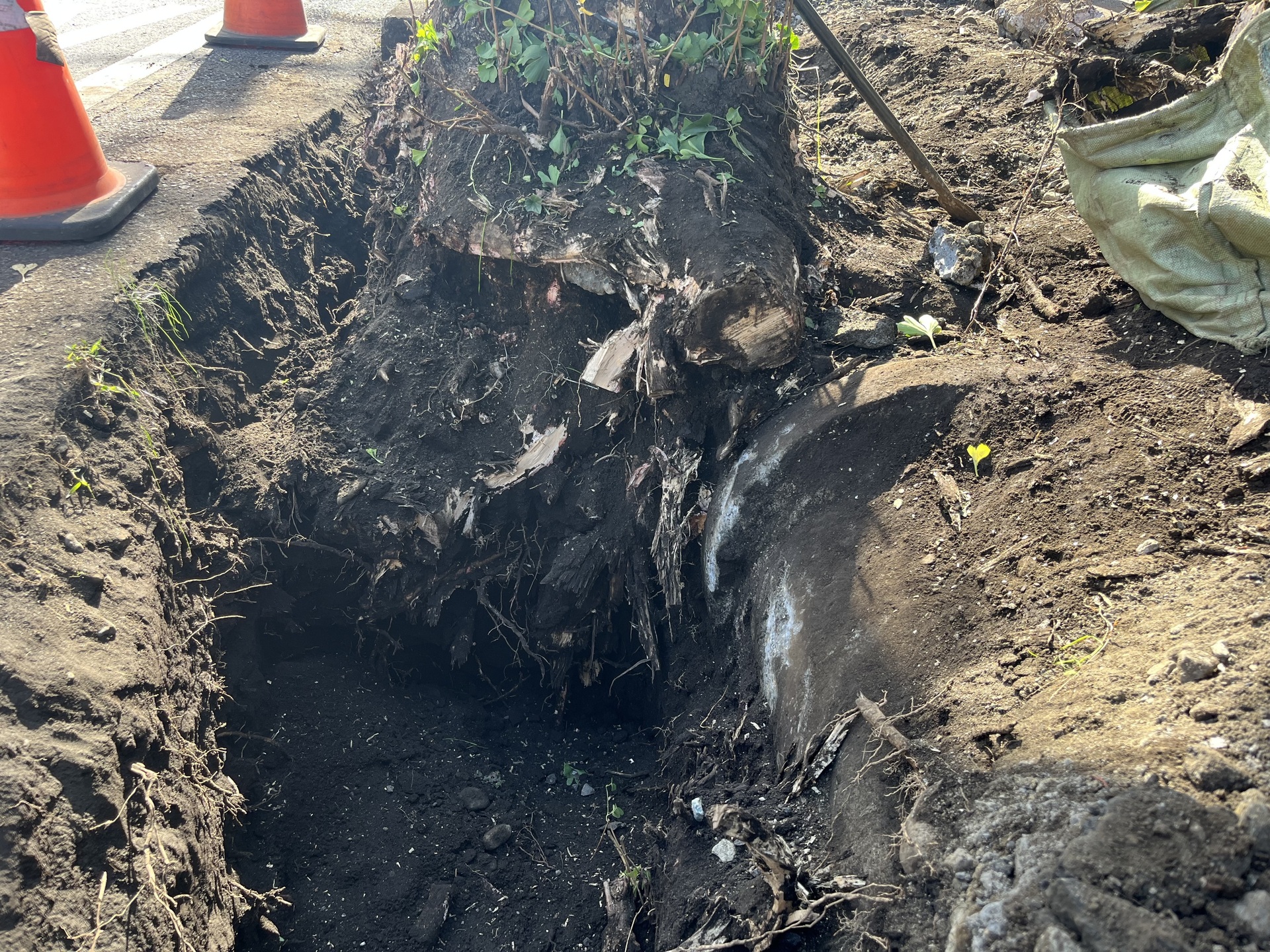 なんじゃ、こりゃ？