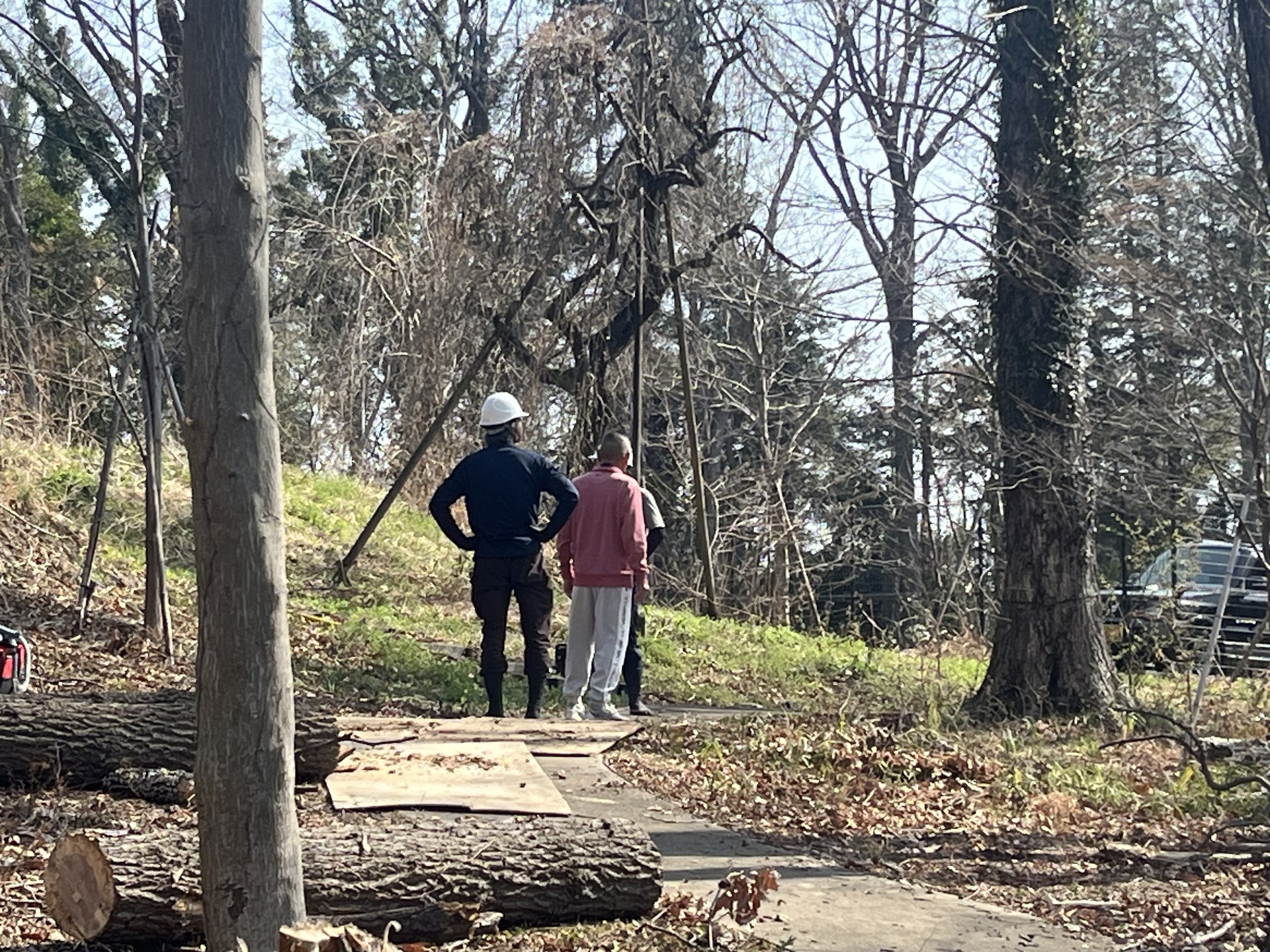 最近のおじいちゃん。